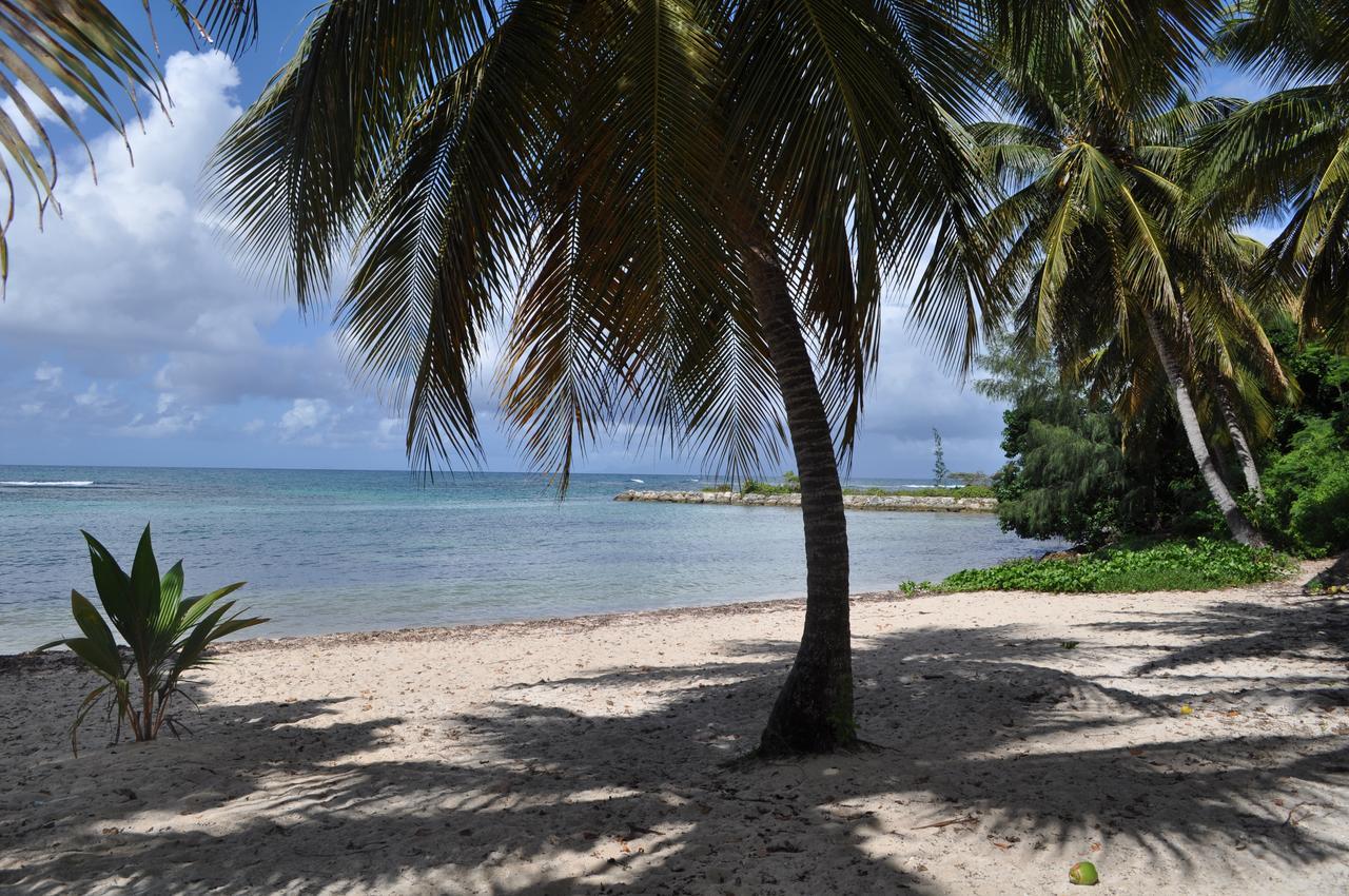 Anse Des Rochers * Saint-Francois (Grande-Terre)