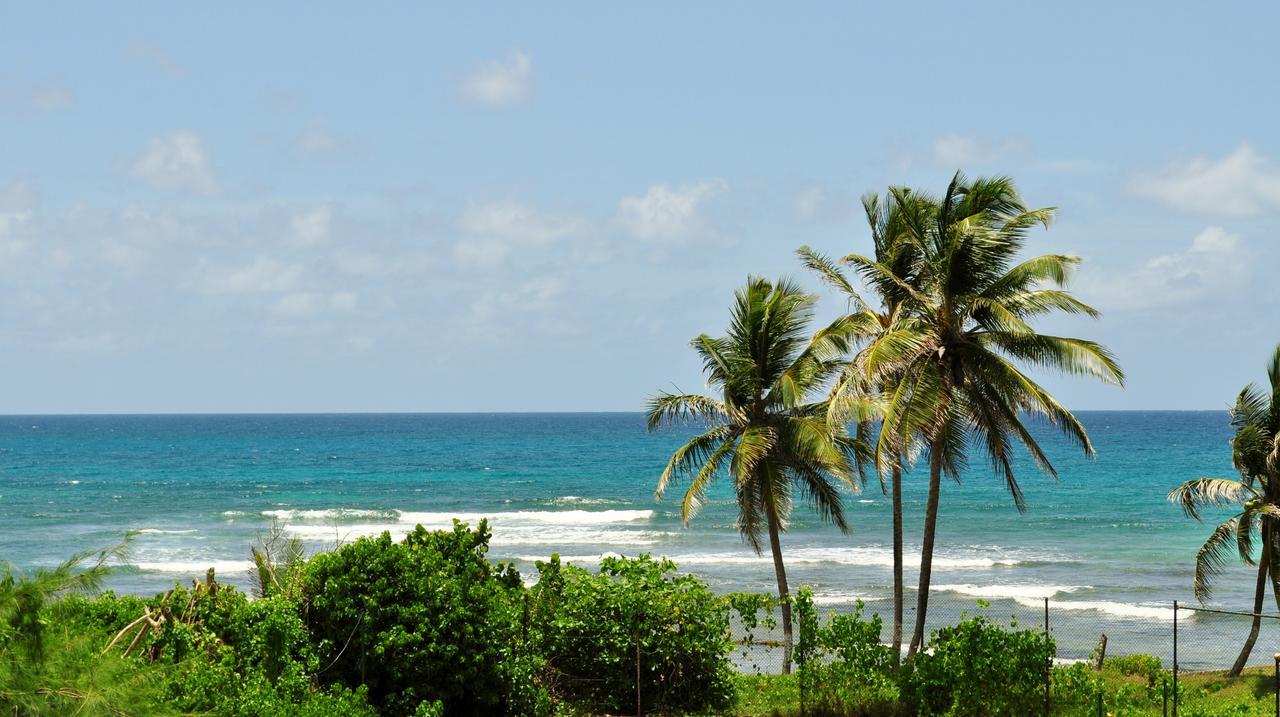 Anse Des Rochers Appartement